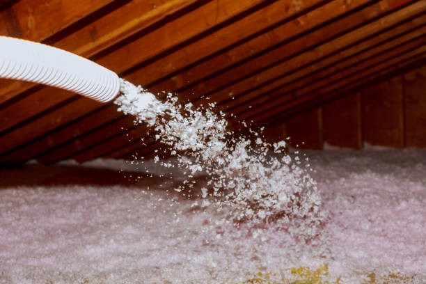 Best Residential Insulation in Biloxi, MS