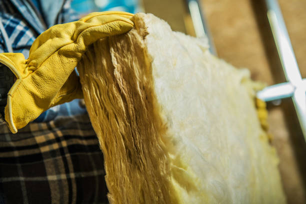 Best Insulation Installation Services in Biloxi, MS