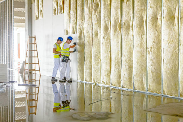 Best Insulation for Specific Applications in Biloxi, MS